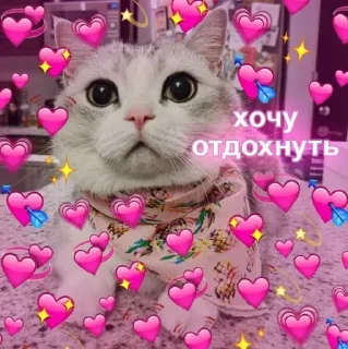 Sticker Самые Лучшие Стикеры - 0