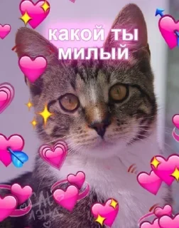 Sticker Самые Лучшие Стикеры - 8