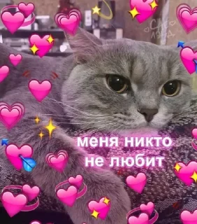 Sticker Самые Лучшие Стикеры - 1