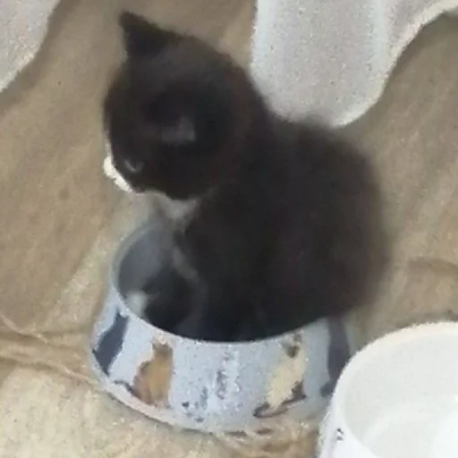 @StickerEdit_bot :: @StickerEdit - 