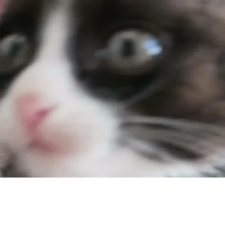 Стикер @StickerEdit_bot :: @StickerEdit - 4