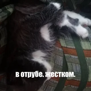 Стикер @StickerEdit_bot :: @StickerEdit - 2