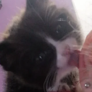 Стикер @StickerEdit_bot :: @StickerEdit - 10