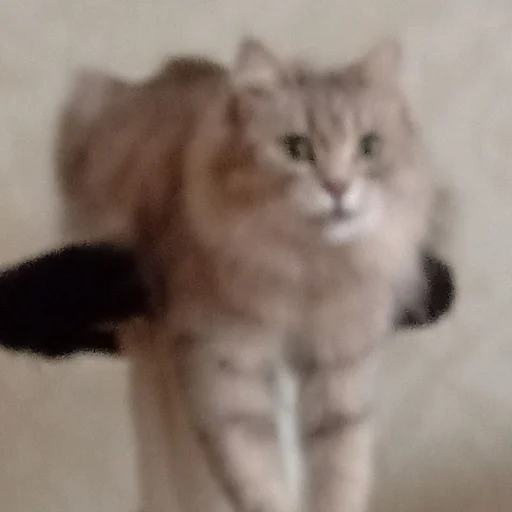 Стикер s6970762983009_by_StickerEdit_bot - 1