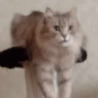 Стикер @StickerEdit_bot :: @StickerEdit - 4