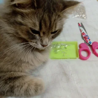 Стикер @StickerEdit_bot :: @StickerEdit - 2