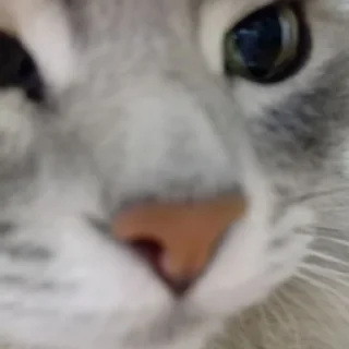 Стикер @StickerEdit_bot :: @StickerEdit - 10