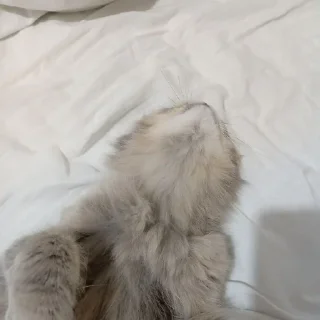 Стикер @StickerEdit_bot :: @StickerEdit - 1