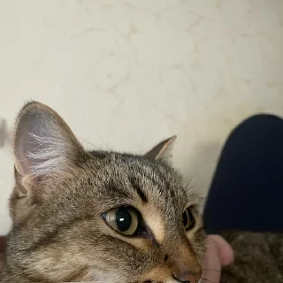 Sticker @StickerEdit_bot :: @StickerEdit - 1