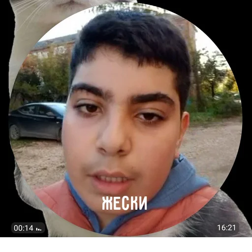 Стикер s7251740193314_by_StickerEdit_bot - 1