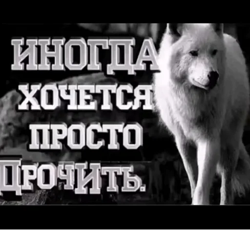 Sticker s7300208513488_by_StickerEdit_bot - 1