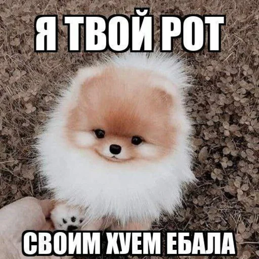 Sticker s7300208513488_by_StickerEdit_bot - 1