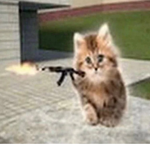 Sticker s7300208513488_by_StickerEdit_bot - 1