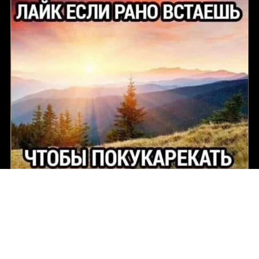 Стикер s7300208513488_by_StickerEdit_bot - 1