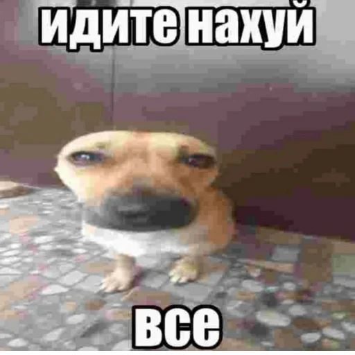 Стикер s7300208513488_by_StickerEdit_bot - 1