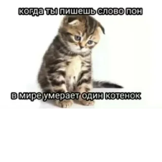 Стикер @StickerEdit_bot :: @StickerEdit - 4