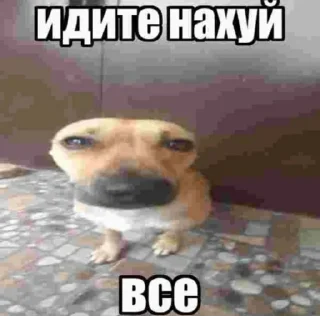 Стикер @StickerEdit_bot :: @StickerEdit - 5