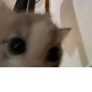 Стикер @StickerEdit_bot :: @StickerEdit - 11