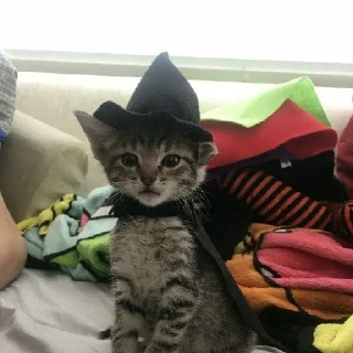 Sticker @StickerEdit_bot :: @StickerEdit - 3