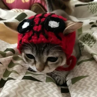 Sticker @StickerEdit_bot :: @StickerEdit - 2