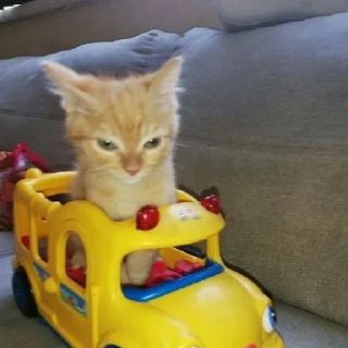 Sticker @StickerEdit_bot :: @StickerEdit - 7