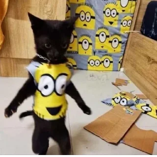 Sticker @StickerEdit_bot :: @StickerEdit - 11