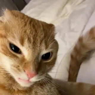 Sticker @StickerEdit_bot :: @StickerEdit - 0