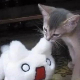 Sticker @StickerEdit_bot :: @StickerEdit - 8