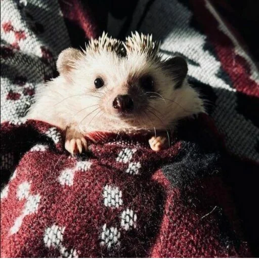 Создано в @StickerEdit_bot - 