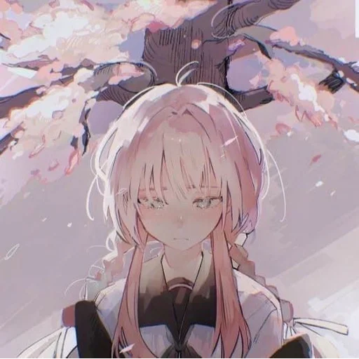 @StickerEdit_bot :: @StickerEdit - 