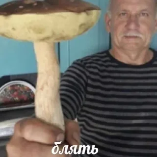 Sticker Самые Лучшие Стикеры - 2