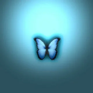 Sticker @StickerEdit_bot :: @StickerEdit - 6