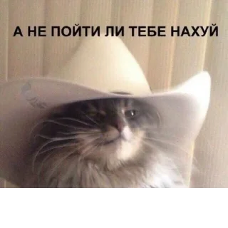 Стикер @StickerEdit_bot :: @StickerEdit - 0