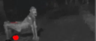 Стикер Говно @sozdat_stikery_bot - 10