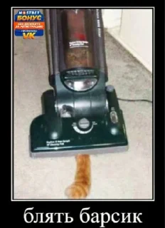 Стикер Мишк фреде 3 @sozdat_stikery_bot - 8