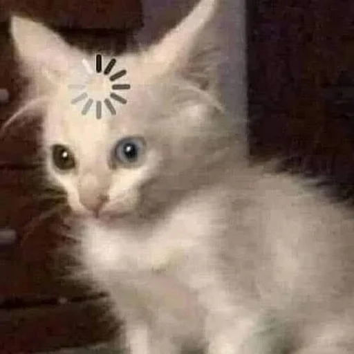 @StickerEdit_bot :: @StickerEdit - 