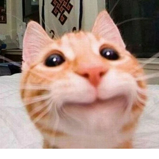 Sticker s9090131270165_by_StickerEdit_bot - 1