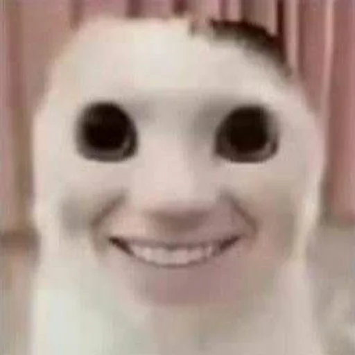 Sticker s9090131270165_by_StickerEdit_bot - 1