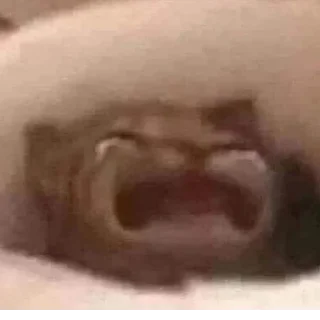 Стикер @StickerEdit_bot :: @StickerEdit - 6