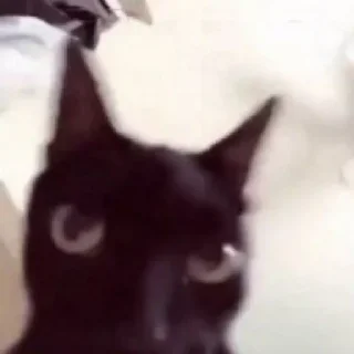 Стикер @StickerEdit_bot :: @StickerEdit - 1