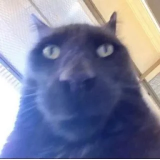 Стикер @StickerEdit_bot :: @StickerEdit - 10