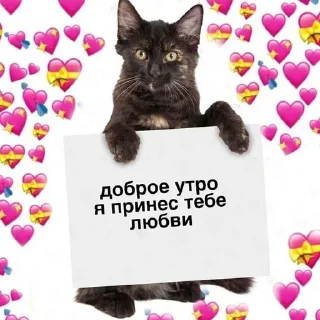 Sticker @StickerEdit_bot :: @StickerEdit - 5