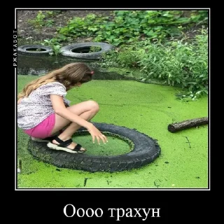 Стикер @StickerEdit_bot :: @StickerEdit - 5