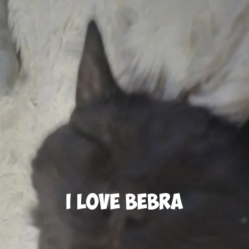 Создано в @StickerEdit_bot - 