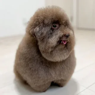 Стикер Ипучие @sozdat_stikery_bot - 10