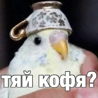 Sticker Создано в @sozdsti_bot - 0