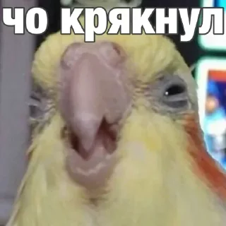 Sticker Создано в @sozdsti_bot - 8