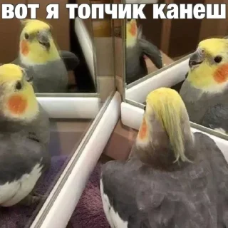 Sticker Создано в @sozdsti_bot - 6