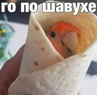 Sticker Создано в @sozdsti_bot - 1