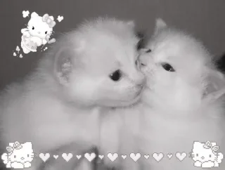 Sticker Больше стиков тут: @stikery4 - 2